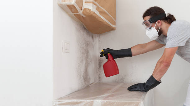 Professional Mold Inspection And Testing technician working in Moonachie, NJ
